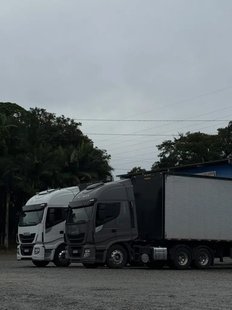 Frota Rayzen Transportes